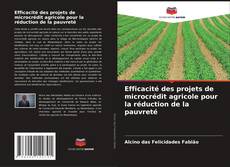Bookcover of Efficacité des projets de microcrédit agricole pour la réduction de la pauvreté
