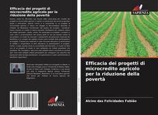 Couverture de Efficacia dei progetti di microcredito agricolo per la riduzione della povertà