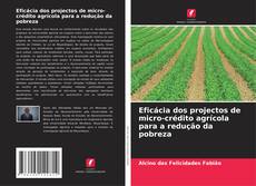 Copertina di Eficácia dos projectos de micro-crédito agrícola para a redução da pobreza