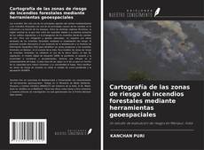 Couverture de Cartografía de las zonas de riesgo de incendios forestales mediante herramientas geoespaciales