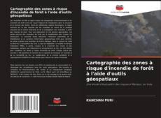 Copertina di Cartographie des zones à risque d'incendie de forêt à l'aide d'outils géospatiaux
