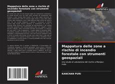 Buchcover von Mappatura delle zone a rischio di incendio forestale con strumenti geospaziali