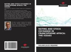 RATING AND STOCK EXCHANGE IN FRANCOPHONE AFRICA: THE ISSUES的封面