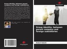 Group identity: between parent company and foreign subsidiaries的封面