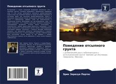Обложка Поведение отсыпного грунта