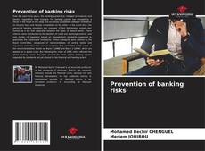 Prevention of banking risks的封面