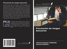 Prevención de riesgos bancarios kitap kapağı
