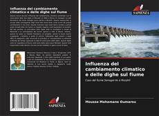 Buchcover von Influenza del cambiamento climatico e delle dighe sul fiume