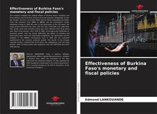 Effectiveness of Burkina Faso's monetary and fiscal policies的封面