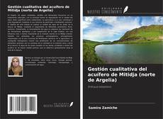 Bookcover of Gestión cualitativa del acuífero de Mitidja (norte de Argelia)