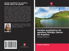 Copertina di Gestão qualitativa do aquífero Mitidja (Norte da Argélia)