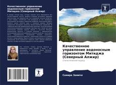 Bookcover of Качественное управление водоносным горизонтом Митиджа (Северный Алжир)