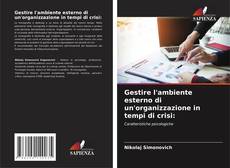 Buchcover von Gestire l'ambiente esterno di un'organizzazione in tempi di crisi:
