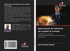 Copertina di Determinanti dei fallimenti dei progetti di sviluppo