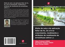 Buchcover von Efeito do solo e da aplicação foliar de Fe, Zn e B no crescimento, rendimento e atributos de rendimento do arroz(Oryza sativa L.)