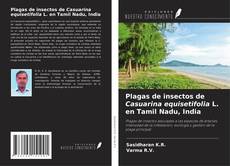 Portada del libro de Plagas de insectos de Casuarina equisetifolia L. en Tamil Nadu, India