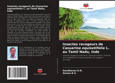 Copertina di Insectes ravageurs de Casuarina equisetifolia L. au Tamil Nadu, Inde