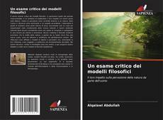 Un esame critico dei modelli filosofici的封面