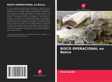 Bookcover of RISCO OPERACIONAL no Banco