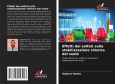 Capa do livro de Effetti dei solfati sulla stabilizzazione chimica del suolo 