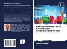 Влияние сульфатов на химическую стабилизацию почвы的封面