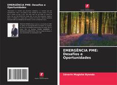 EMERGÊNCIA PME: Desafios e Oportunidades的封面