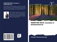 ЭНЕРГИЯ МСП: вызовы и возможности的封面