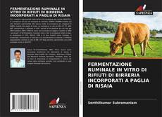 Buchcover von FERMENTAZIONE RUMINALE IN VITRO DI RIFIUTI DI BIRRERIA INCORPORATI A PAGLIA DI RISAIA