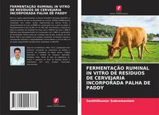 Copertina di FERMENTAÇÃO RUMINAL IN VITRO DE RESÍDUOS DE CERVEJARIA INCORPORADA PALHA DE PADDY