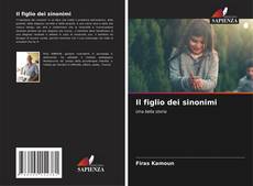 Buchcover von Il figlio dei sinonimi