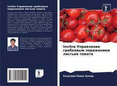 Borítókép a  Invitro Управление грибковым поражением листьев томата - hoz