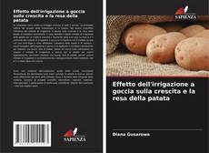 Buchcover von Effetto dell'irrigazione a goccia sulla crescita e la resa della patata
