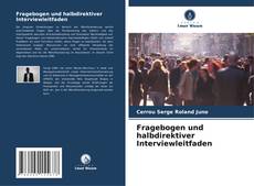 Fragebogen und halbdirektiver Interviewleitfaden kitap kapağı