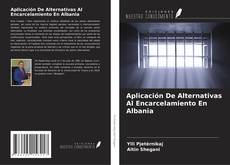 Buchcover von Aplicación De Alternativas Al Encarcelamiento En Albania