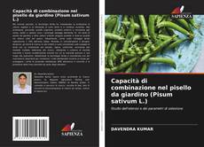 Buchcover von Capacità di combinazione nel pisello da giardino (Pisum sativum L.)