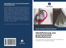 Обложка Identifizierung von psychosozialen Risikofaktoren