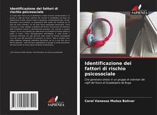 Identificazione dei fattori di rischio psicosociale的封面