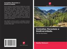 Bookcover of Incêndios florestais e biodiversidade.