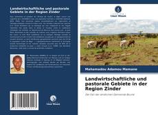 Buchcover von Landwirtschaftliche und pastorale Gebiete in der Region Zinder