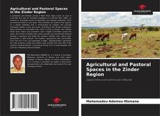 Agricultural and Pastoral Spaces in the Zinder Region的封面