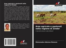 Aree agricole e pastorali nella regione di Zinder kitap kapağı