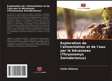 Exploration de l'alimentation et de l'eau par le bécasseau (Thryonomys Swinderianus) kitap kapağı