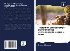 Borítókép a  Пастушок (Thryonomys Swinderianus) Исследование корма и воды - hoz
