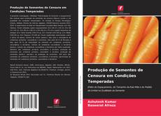 Bookcover of Produção de Sementes de Cenoura em Condições Temperadas