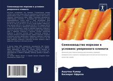 Обложка Семеноводство моркови в условиях умеренного климата