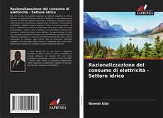 Bookcover of Razionalizzazione del consumo di elettricità - Settore idrico