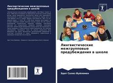 Capa do livro de Лингвистические межгрупповые предубеждения в школе 