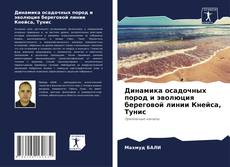 Buchcover von Динамика осадочных пород и эволюция береговой линии Кнейса, Тунис