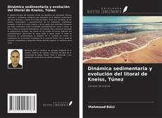 Bookcover of Dinámica sedimentaria y evolución del litoral de Kneiss, Túnez