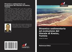 Copertina di Dinamica sedimentaria ed evoluzione del litorale di Kneiss, Tunisia